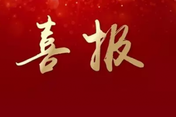 桐鄉(xiāng)市三級干部大會上，同安建設(shè)榮獲兩項榮譽(yù)！